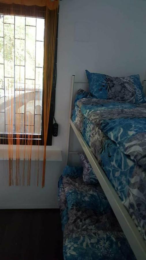 Hostel Belgrade Shungit Dragana Jeftica Br 10 מראה חיצוני תמונה